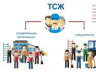 Асоциация на собствениците на жилища: какво е това, неговите плюсове и минуси