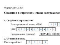 Utasítás: töltse ki és küldje el az sv-experience űrlapot az Orosz Föderációnak