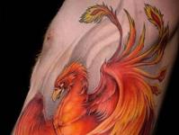 Phoenix înseamnă tatuaj pentru bărbați